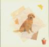 Thumbnail image for Modèle de carte avec un labrador
