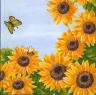 Thumbnail image for Modèle de carte &laquo;&nbsp;tournesols et papillon&nbsp;&raquo;