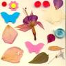 Thumbnail image for Modèle de carte aux papillons et aux fleurs
