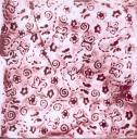 Thumbnail image for Modèle de Carte en distress