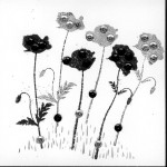 Thumbnail image for Modèle de Carte de coquelicots noirs