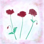 Thumbnail image for Modèle de caret avec des coquelicots rouges !