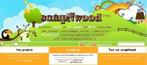 Post image for ScrapNwood, créations uniques en bois et en plastique