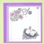 Thumbnail image for Modèle de Carte de naissance couleurs printemps